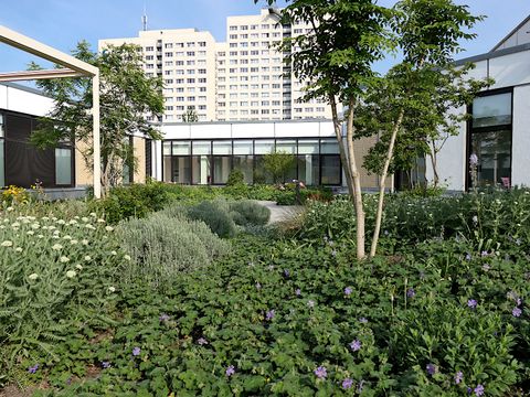 Begehbares Gründach des Freizeitforums Marzahn