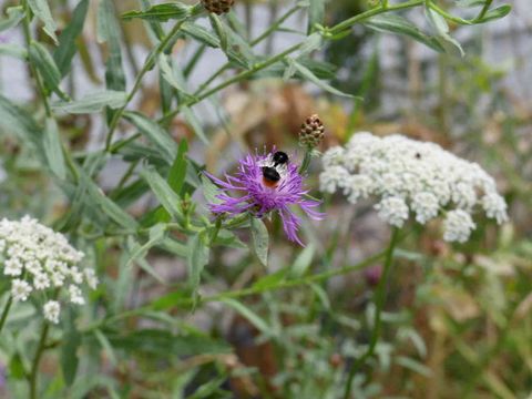 (Bild: Bibliothek Tiergarten-Süd)