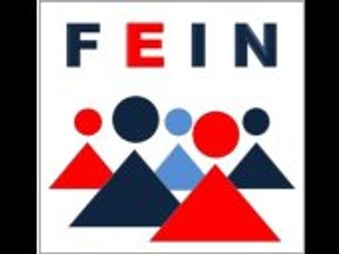 LOGO FEIN