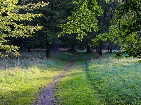 Schlosspark Buch (Bild: Bruno D'Amicis)