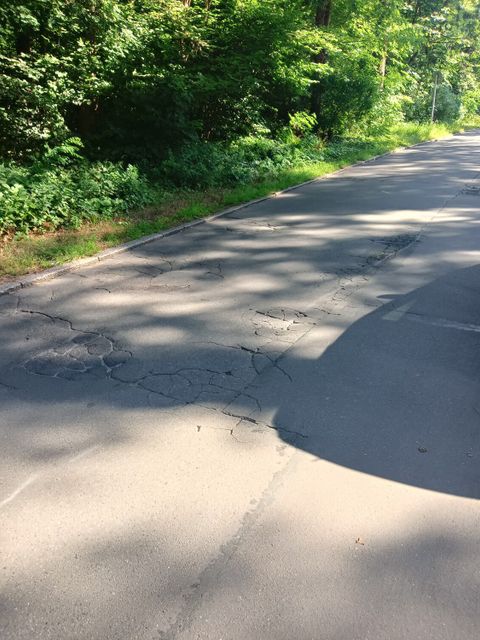 (Bild: Straßen- und Grünflächenamt Steglitz-Zehlendorf)