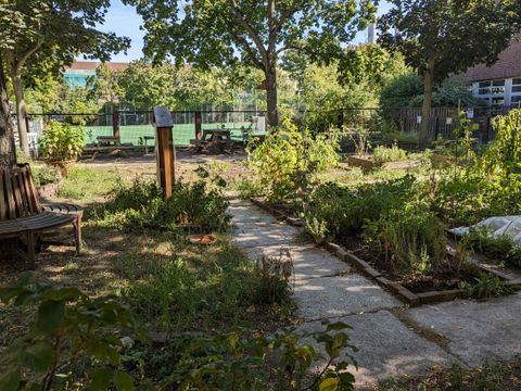Garten an der Mierendorff-Grundschule