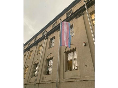 Trans* Flagge