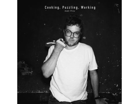 Albumcover: Andi Fins 'Cooking.Puzzlin. Working'