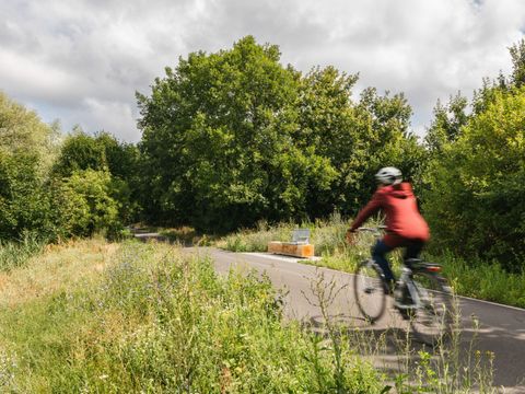 Mauerweg mit neuem Bodenbelag (Bild: Konstantin Börner, GrünBerlin GmbH)