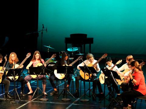 Zupfinstrumente Titelbild