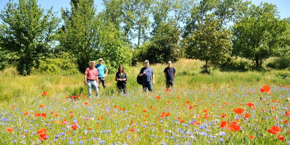 Die Wildblumenwiese im Kurt-Julius-Goldstein-Park mit Dr. Camillo Kitzmann, Parkmanager, Bezirksstadträtin Nadja Zivkovic, Dr. Christian Schmid-Egger und Tom Bluth