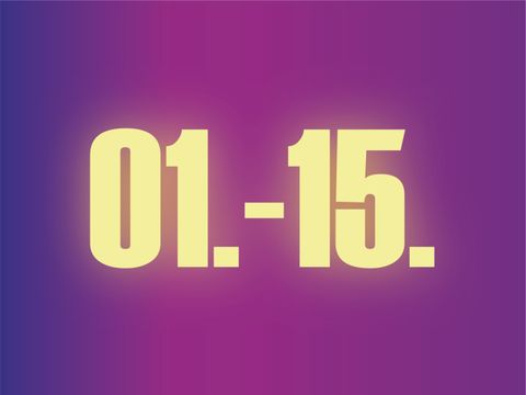 Button 1-15 Kalender_Wesbite Spandauer Aktionsmärz 2026 