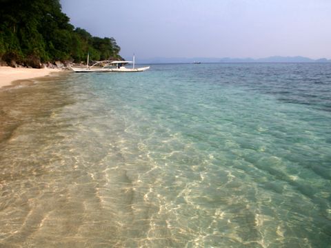 Der Tropenstrand von Bacuit Bay - Philippinen