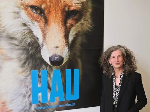 Annemie Vanackere an ihrem Schreibtisch - der Fuchs hat 2012 den 1. Preis als bestes Kulturplakat in Deutschland gewonnen