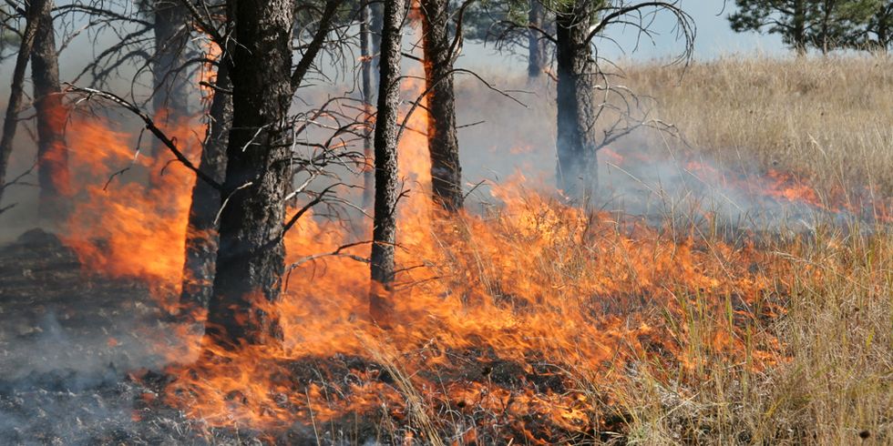 Waldbrand