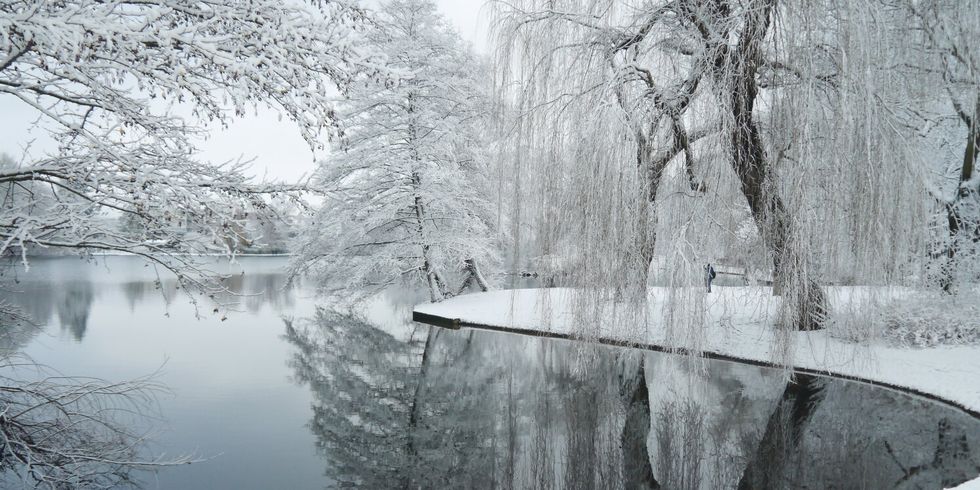 Lichtenberger See im Winter