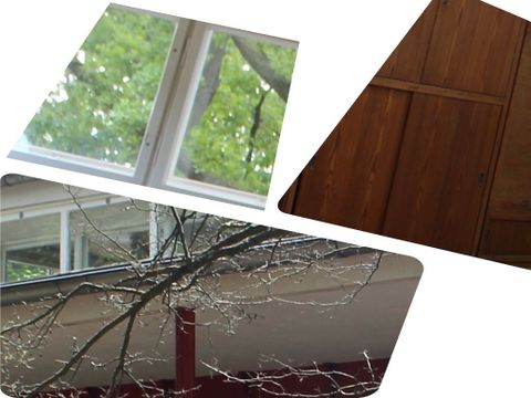 Denkmal des Monats Titelbild: 3 Ausschnitte vom Denkmal des Monats: Fenster, Schrankwand und Zweig mit Fensterfront im Hintergrund