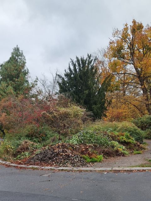 (Bild: Bezirksamt Tempelhof-Schöneberg)