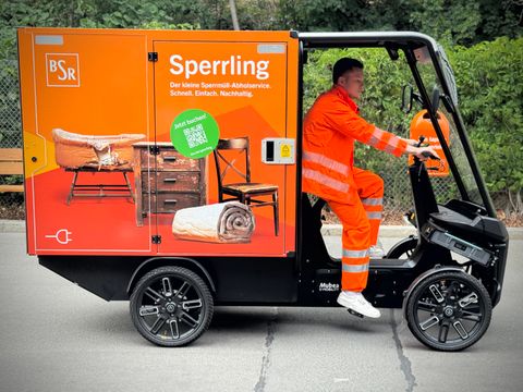 Der Sperrling in Aktion