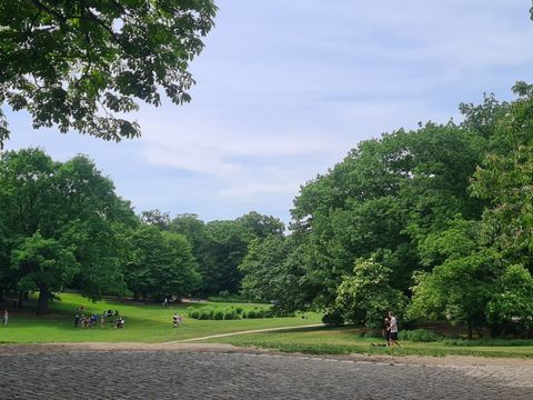 Volkspark Wilmersdorf: Blick vom Hippie-Hügel auf den Park