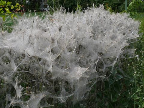 (Bild: Worldnews-ID-374214042)