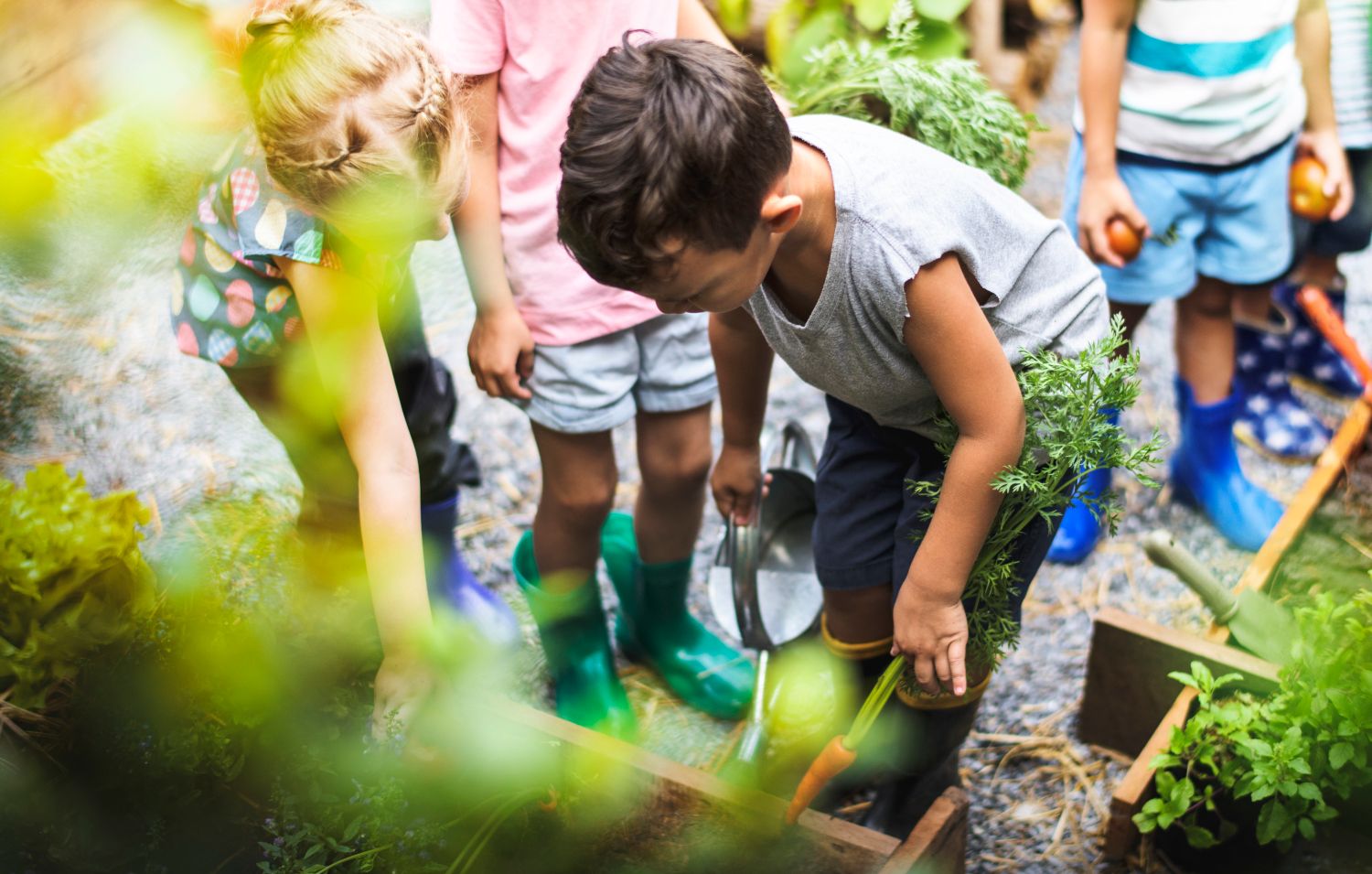 Kinder im Schulgarten