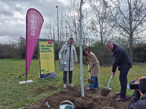 Eventpflanzung GESOBAU 2026: Die Pflanzarbeiten sind im Gange (Bild: SenMVKU)