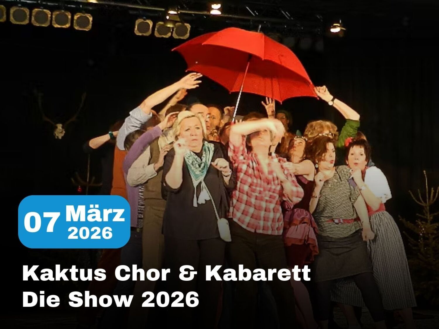 260307_kaktus