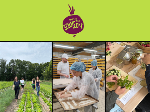 Eine Bildcollage zeigt Jugendliche bei der Ausübung von Berufen, wie Bäcker oder Landwirtin