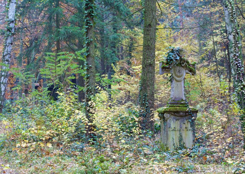 Naturoase städtischer Friedhof (Bild: Florian Möllers)