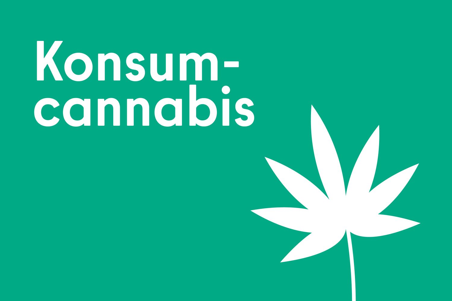 Konsumcannabis mit einer Blüte einer Hanfpflanze