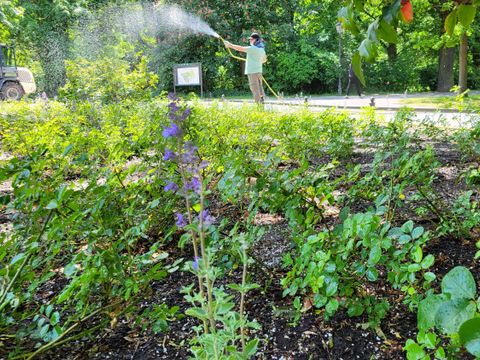 Teamarbeitstag der Grünflächenunterhaltung des Straßen- und Grünflächenamtes Friedrichshain-Kreuzberg im Volkspark Friedrichshain