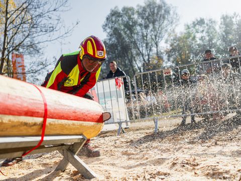 Waldarbeitsmeisterschaft Berlin und Brandenburg 2024