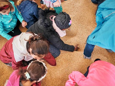 Draufsicht auf mehrere Kinder die Korn untersuchen