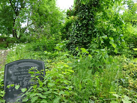 Rundgang Friedhof Gotlindestraße Tag der Städtebauförderung 10. Mai 2025