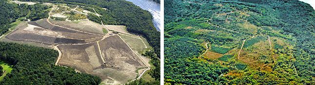 links: Deponie Wannsee in der Bauphase 2003; rechts: Deponie Wannsee 2014