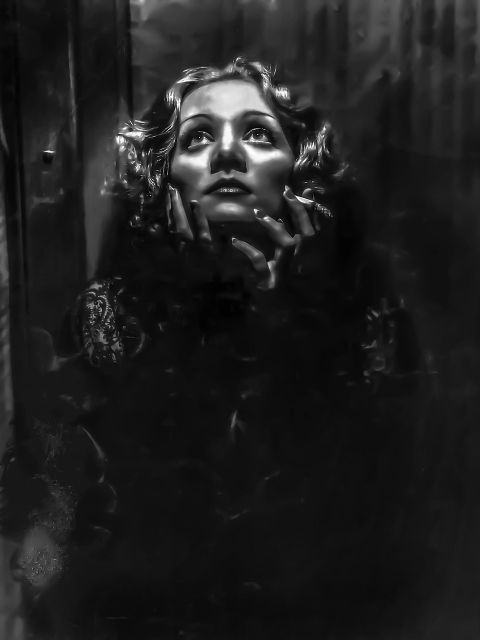 Bild s/w Marlene Dietrich