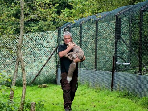 Mann mit Fuchs auf dem Arm vor einem Zaun
