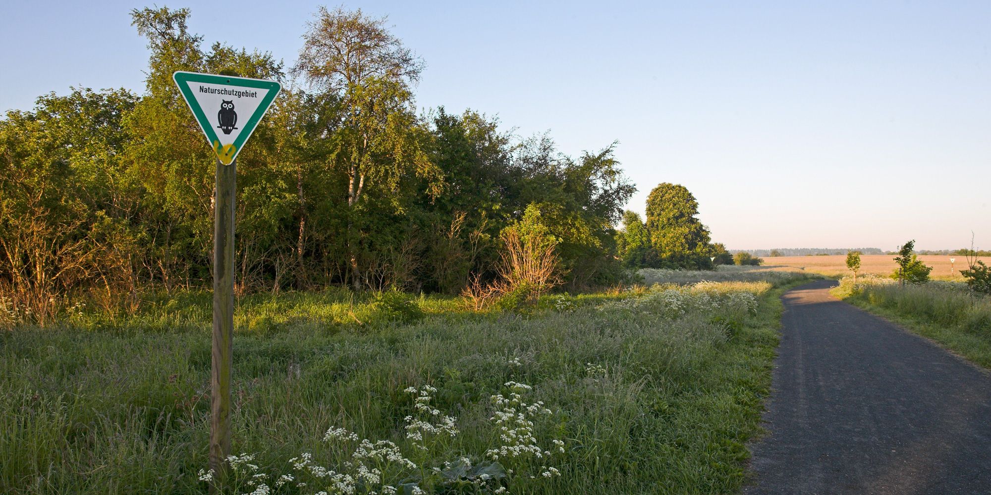 NSG Idehorst (Bild: Florian Möllers)