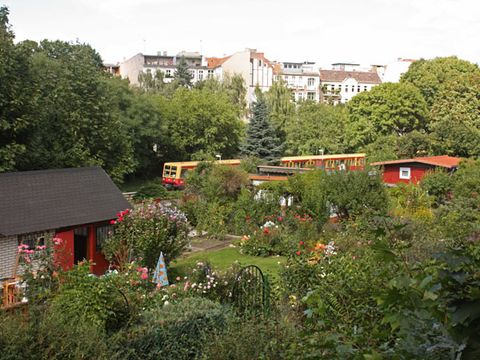 In der Kolonie Bahn Landwirtschaft, Foto: Raimund Müller