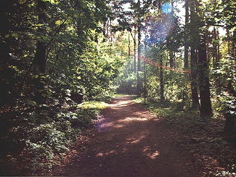Landschaftsplan Kirchhainer Damm