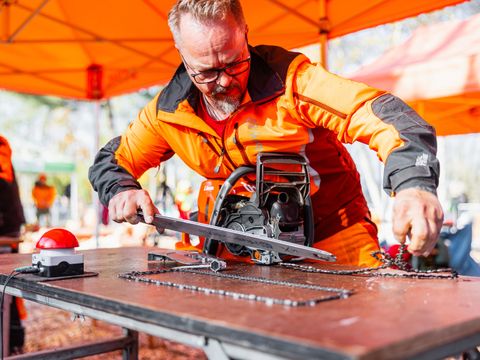 Waldarbeitsmeisterschaft Berlin und Brandenburg 2024