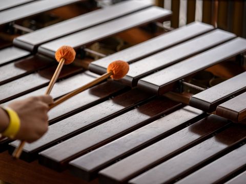 Schlaginstrumente Titelbild