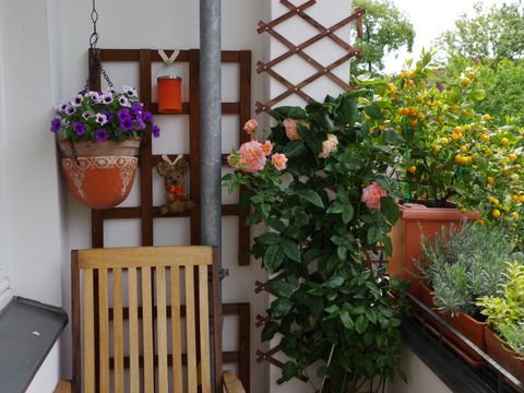 Lieblings-Leseort Balkon von Dahm-Ritzi