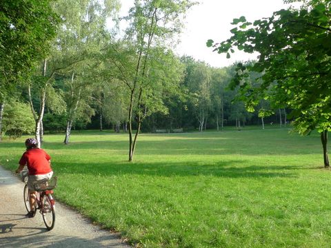 (Bild: Fachbereich Grünflächen)