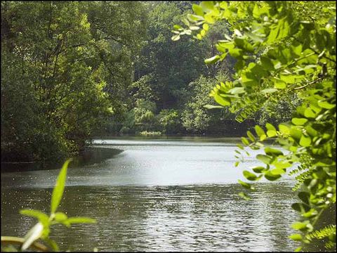 Sausuhlensee