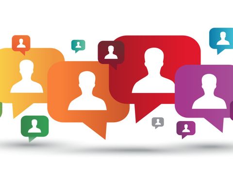 Team / Organisationsstruktur