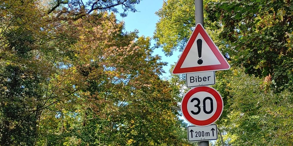 Geschwindigkeitsbeschränkung am Saatwinkler Damm.