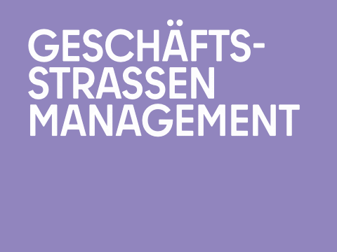 Teaser Geschäftsstrassenmanagement