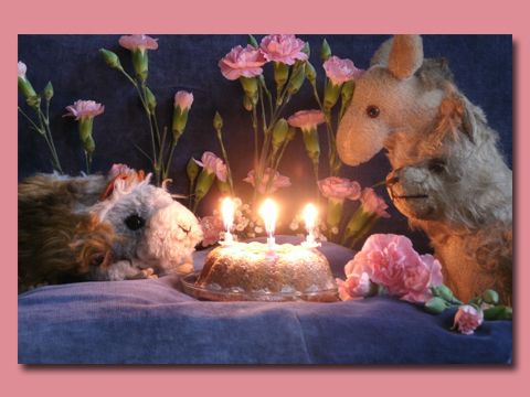 Bild vom Puppentheater Burstag