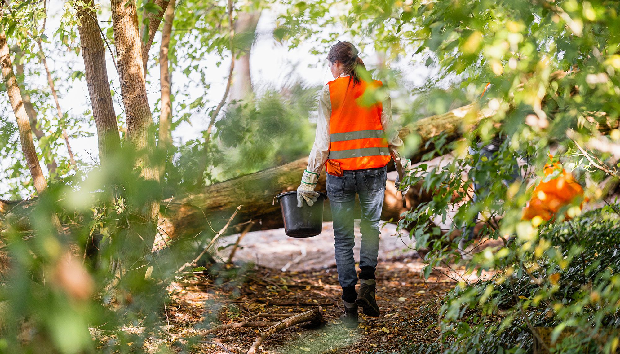 Clean-up Aktion im Wald