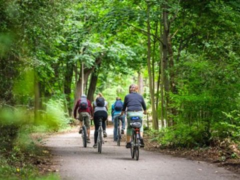 Fahrradtour durch den Tegeler Forst