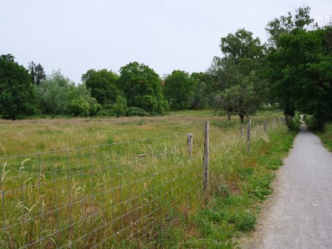 Grüner Ring - Grünzug Egelpfuhlgraben Süd