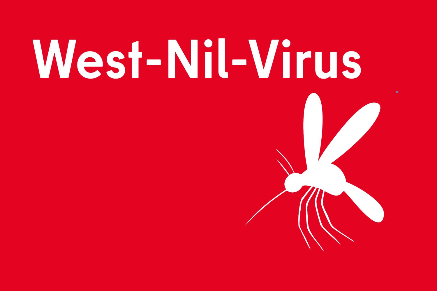 Text West-Nil-Virus, dazu ein Bild von einer Mücke